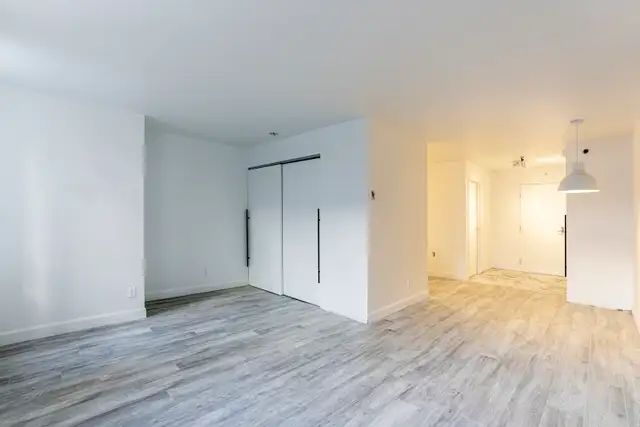 quartier Saint-Roch, Quebec, à louer, 2.5,studio, appartement - Photo 3