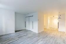 quartier Saint-Roch, Quebec, à louer, 2.5,studio, appartement - Photo 3