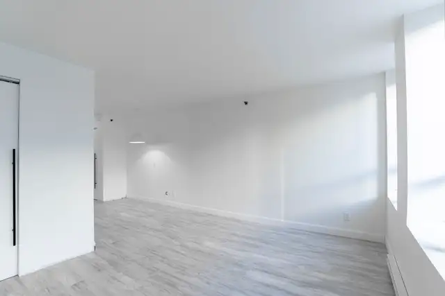 quartier Saint-Roch, Quebec, à louer, 2.5,studio, appartement - Photo 4