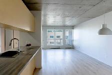 Promo, 31/2, Nouvo,Saint,Roch, Quebec, à louer,2,chambres