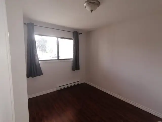 ✨ COZY • QUIET • PET-FRIENDLY ✨ - Photo 3