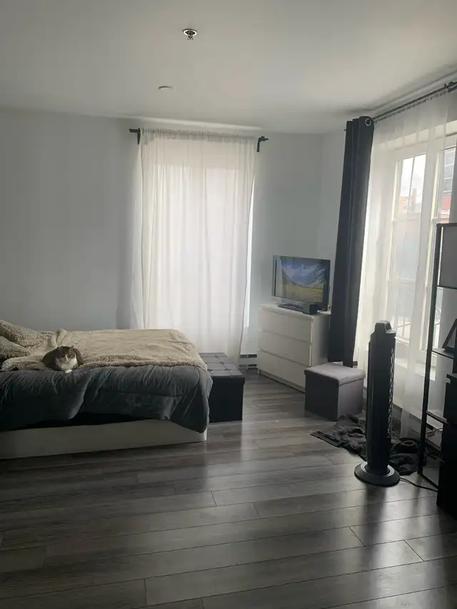 Luxury Studio for Rent – Steps from Metro Papineau - Photo 2