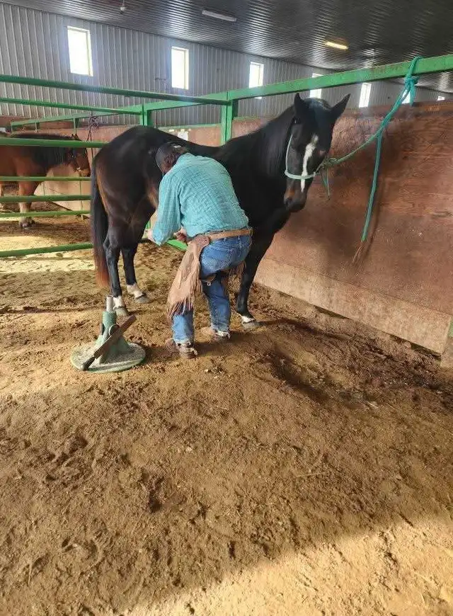 Farrier work - Photo 2