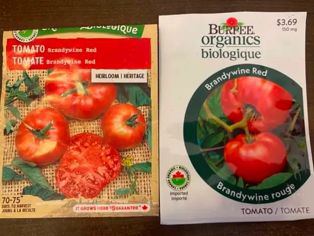 Organic Tomato Plants / Seedlings - Photo 4