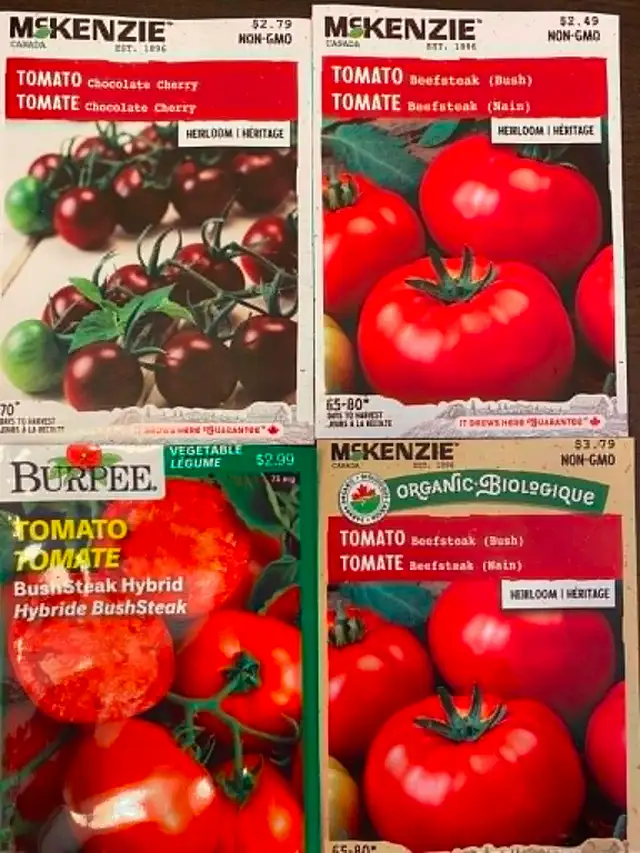 Organic Tomato Plants / Seedlings - Photo 6