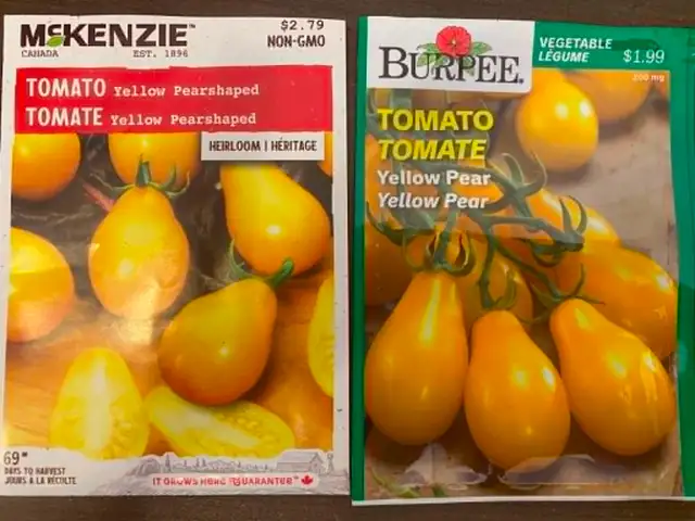 Organic Tomato Plants / Seedlings - Photo 7