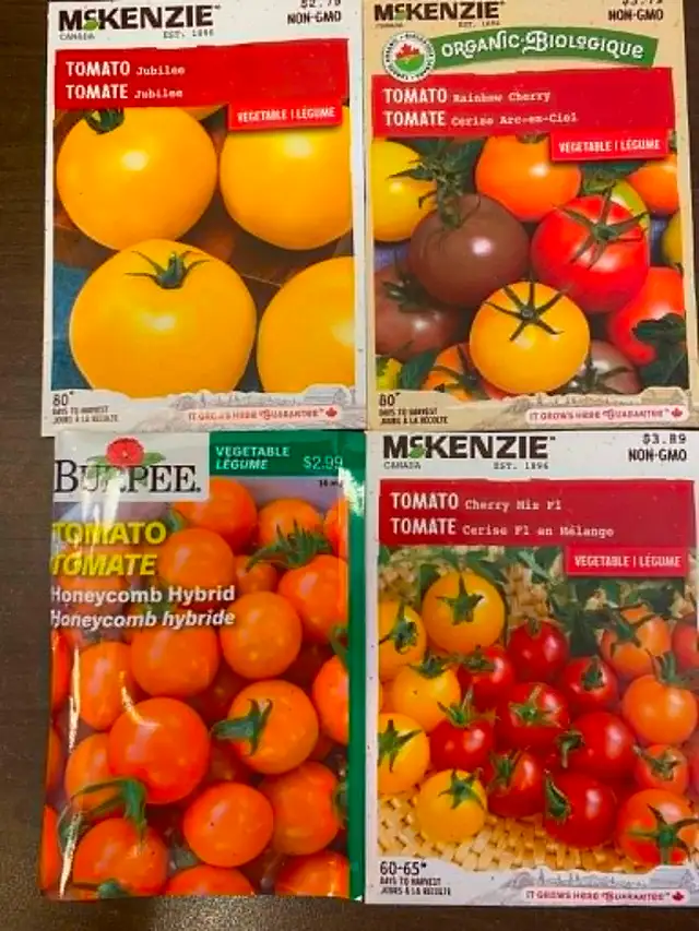 Organic Tomato Plants / Seedlings - Photo 8