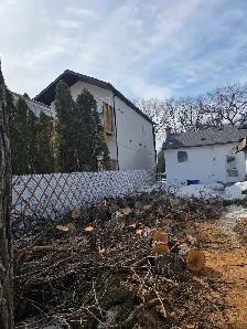 tree removal and pruning services - Photo 3