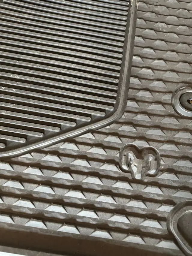 RAM TRUCK FLOOR MATS - Photo 5