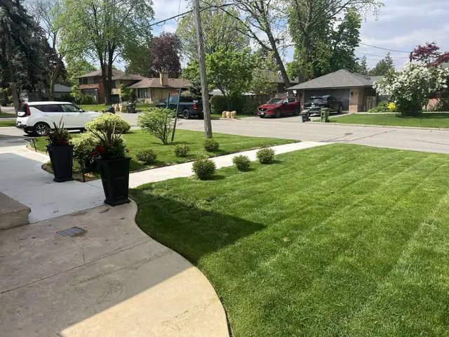 ⭐Reliable Lawn Mowing & Property Maintenance Services⭐