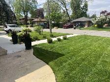 ⭐Reliable Lawn Mowing & Property Maintenance Services⭐