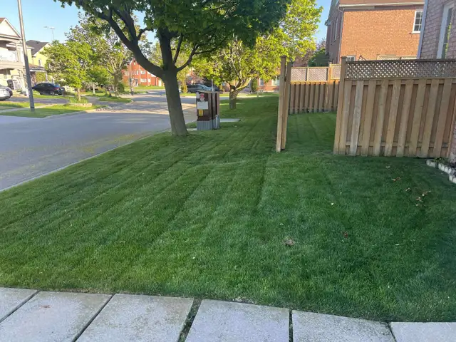 ⭐Reliable Lawn Mowing & Property Maintenance Services⭐ - Photo 2