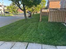 ⭐Reliable Lawn Mowing & Property Maintenance Services⭐ - Photo 2