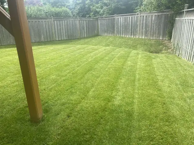 ⭐Reliable Lawn Mowing & Property Maintenance Services⭐ - Photo 3