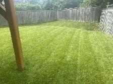 ⭐Reliable Lawn Mowing & Property Maintenance Services⭐ - Photo 3