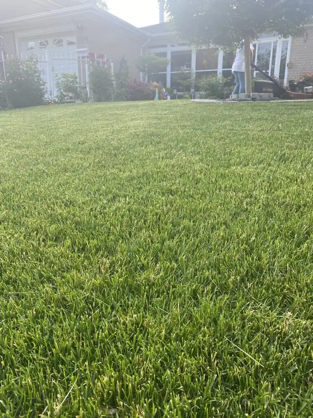 ⭐Reliable Lawn Mowing & Property Maintenance Services⭐ - Photo 4