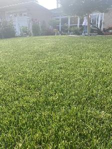 ⭐Reliable Lawn Mowing & Property Maintenance Services⭐ - Photo 4