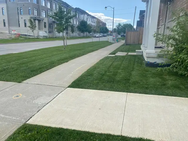 ⭐Reliable Lawn Mowing & Property Maintenance Services⭐ - Photo 6