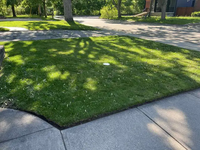 ⭐Reliable Lawn Mowing & Property Maintenance Services⭐ - Photo 7