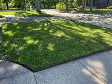 ⭐Reliable Lawn Mowing & Property Maintenance Services⭐ - Photo 7