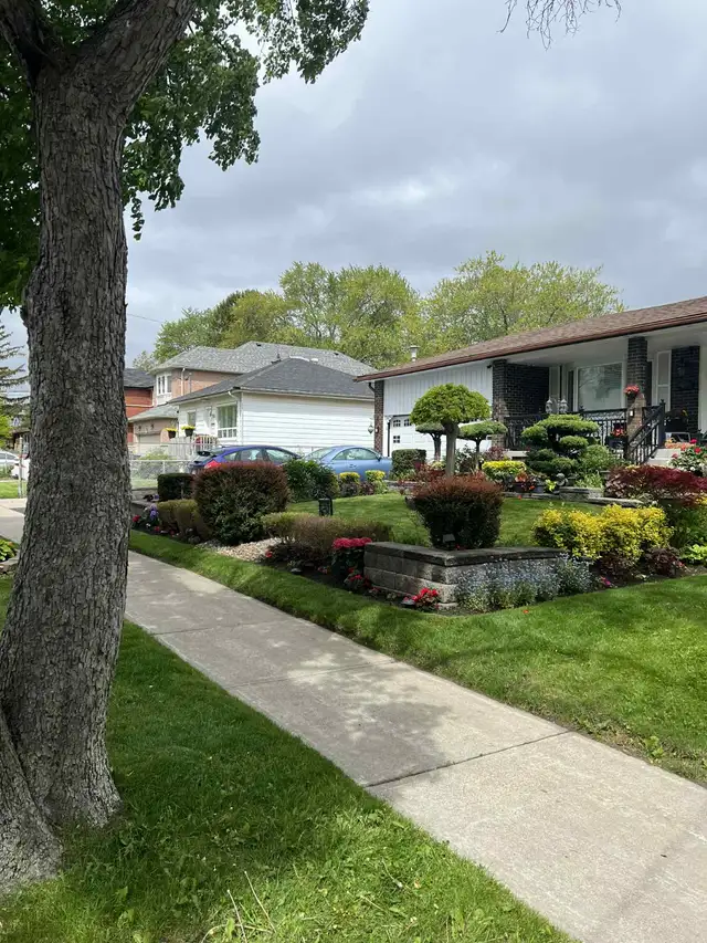 ⭐Reliable Lawn Mowing & Property Maintenance Services⭐ - Photo 9