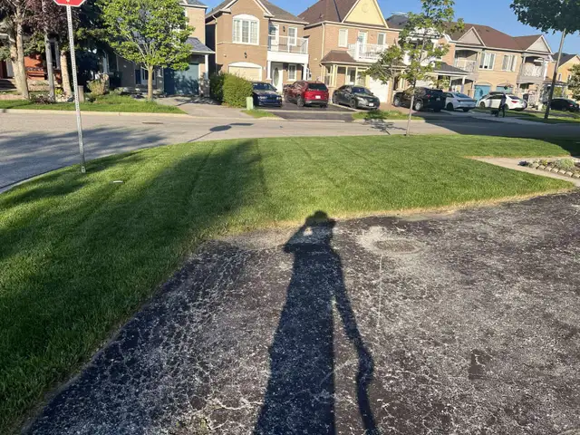 ⭐Reliable Lawn Mowing & Property Maintenance Services⭐ - Photo 10