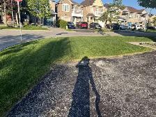 ⭐Reliable Lawn Mowing & Property Maintenance Services⭐ - Photo 10