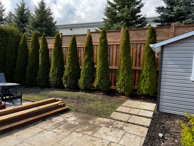 Carpentry Projects - Photo 8