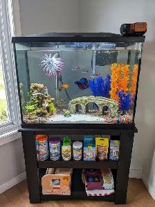 Fish Aquarium
