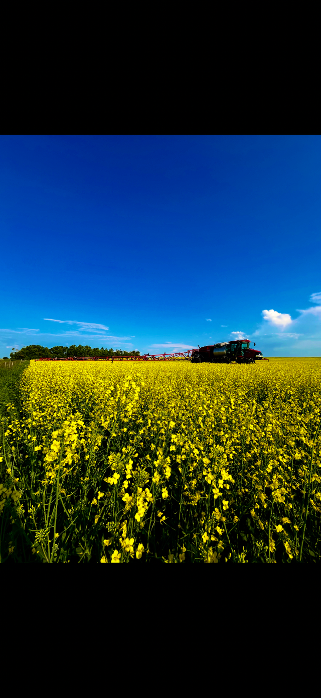 Farm Employment Opportunity