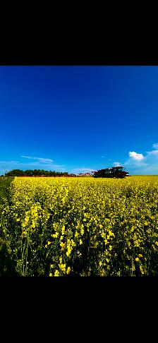 Farm Employment Opportunity