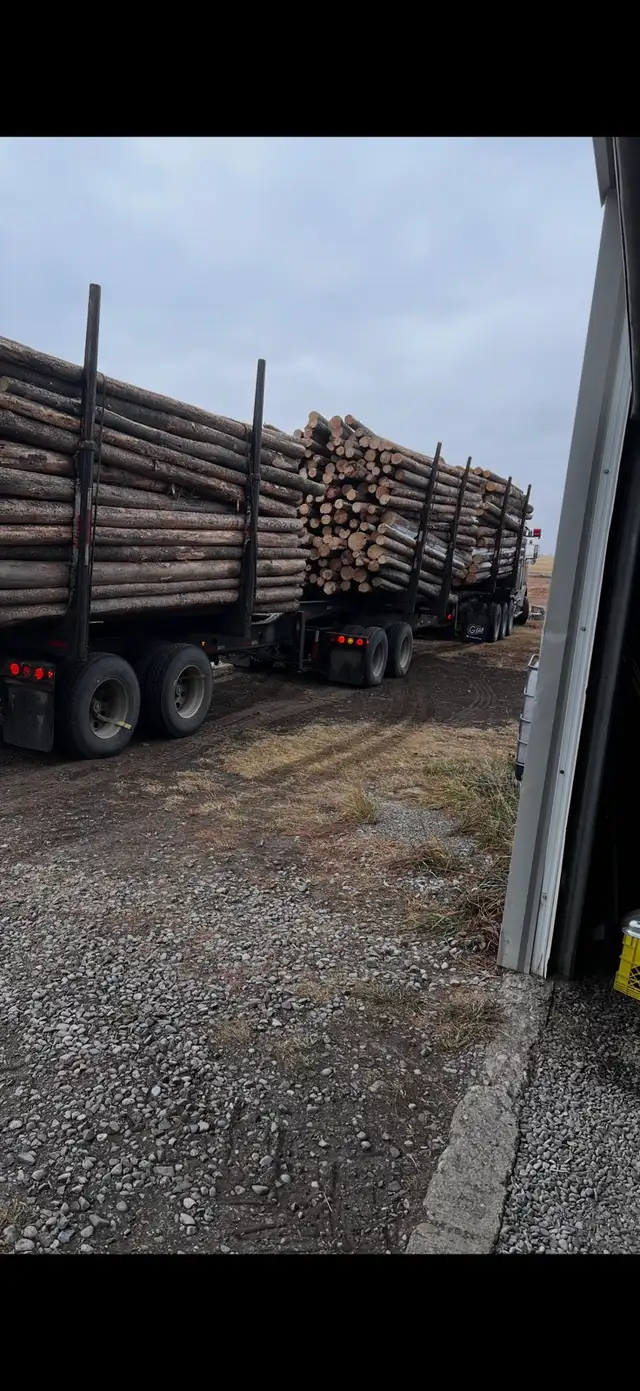 Hammer Firewood - Photo 3