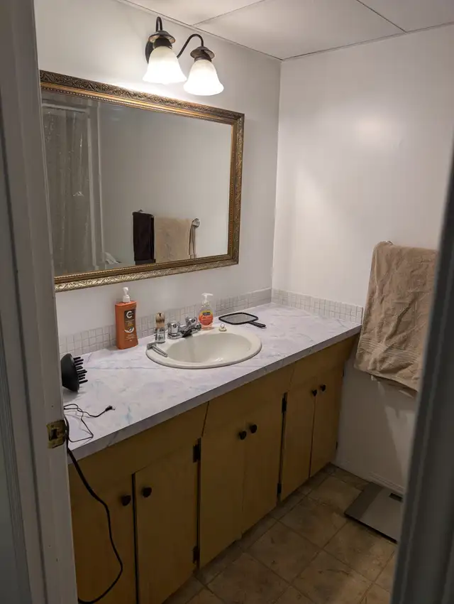 ROOM FOR RENT, Basement Suite, Bonnie Doon Area - Photo 2