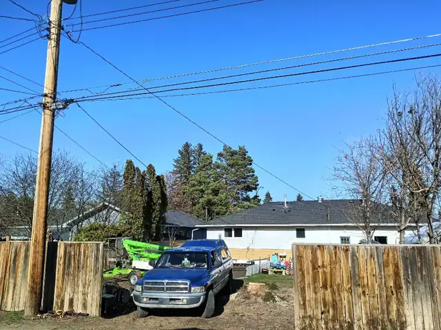 Tree removal services - Photo 2