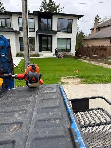 PROFESSIONAL LAWN CARE