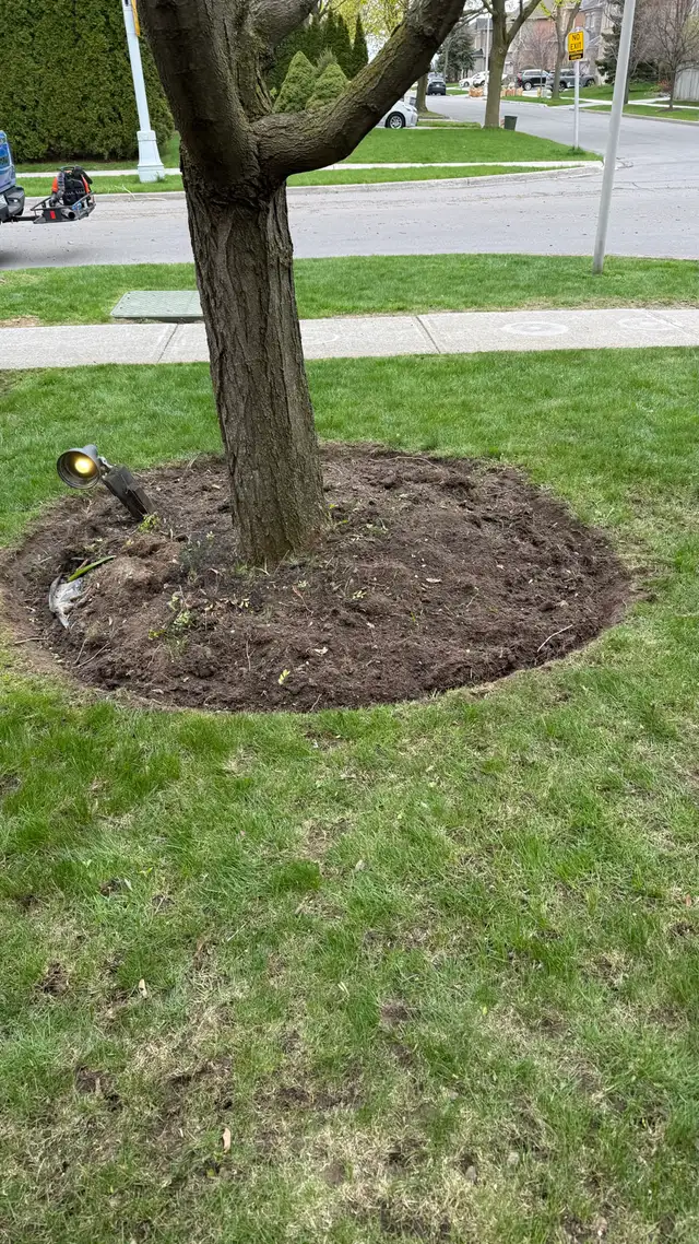 PROFESSIONAL LAWN CARE - Photo 5