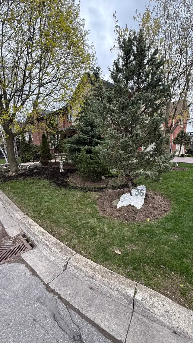 PROFESSIONAL LAWN CARE - Photo 6