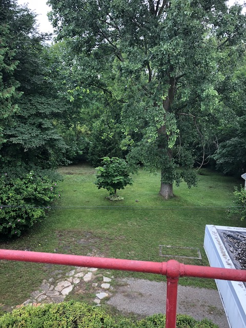 Renovated 2 bedrms in triplex, deck, backyard, parking & laundry - Photo 4