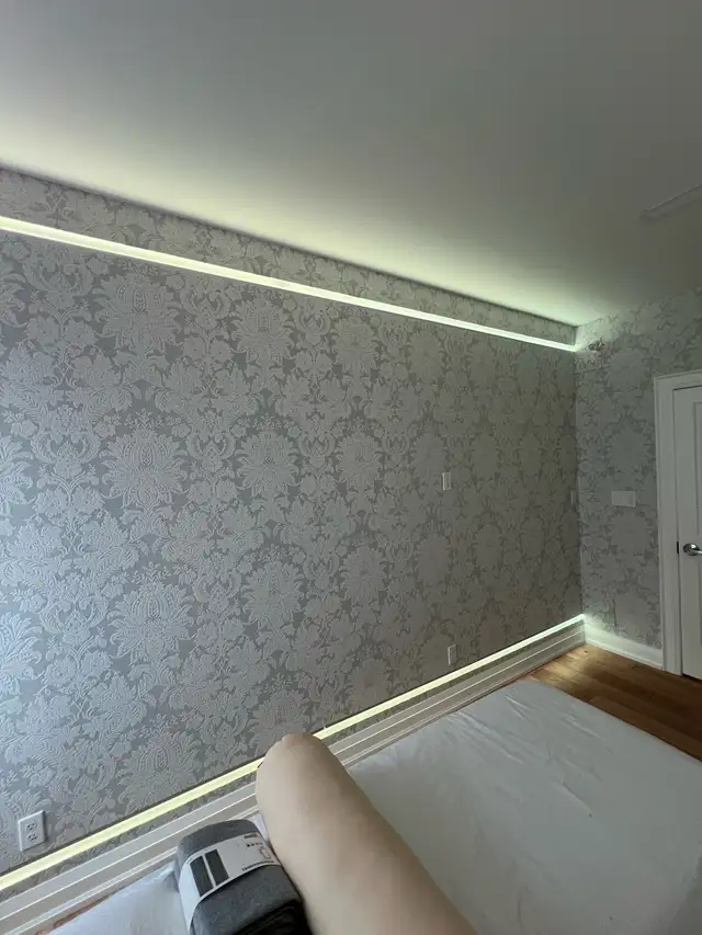 mural accent wall - Photo 5