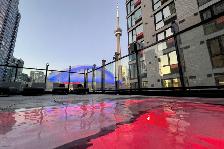 Private Bedroom at the Harbourfront - Photo 16