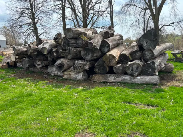 Free Wood For Sale