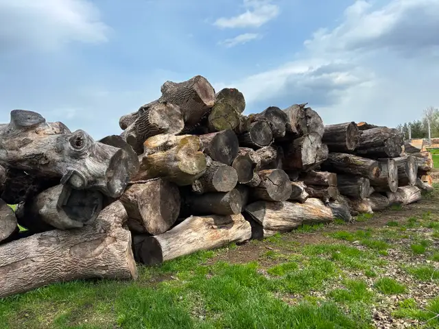 Free Wood For Sale - Photo 2