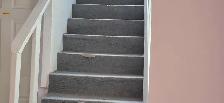 One bedroom Basement apartment for Rent - Photo 3