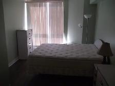Bay & Bloor 1 bed   1den apartment for rent next to U of T