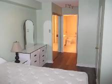 Bay & Bloor 1 bed   1den apartment for rent next to U of T - Photo 2