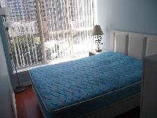 Bay & Bloor 1 bed   1den apartment for rent next to U of T - Photo 3
