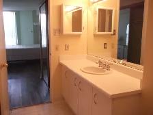 Bay & Bloor 1 bed   1den apartment for rent next to U of T - Photo 4