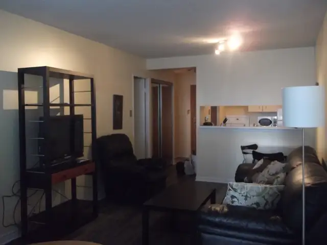 Bay & Bloor 1 bed   1den apartment for rent next to U of T - Photo 6