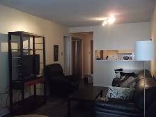 Bay & Bloor 1 bed   1den apartment for rent next to U of T - Photo 6