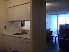 Bay & Bloor 1 bed   1den apartment for rent next to U of T - Photo 7